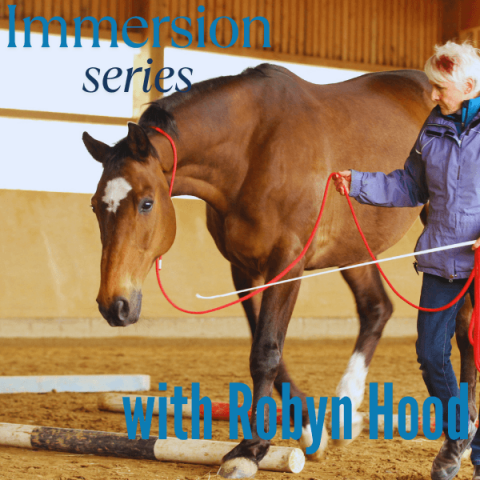 Interactive & Online Tellington TTouch® for Horses